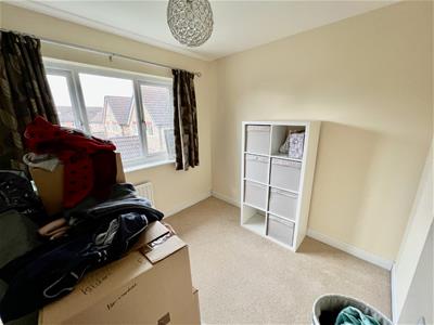 Picture 13